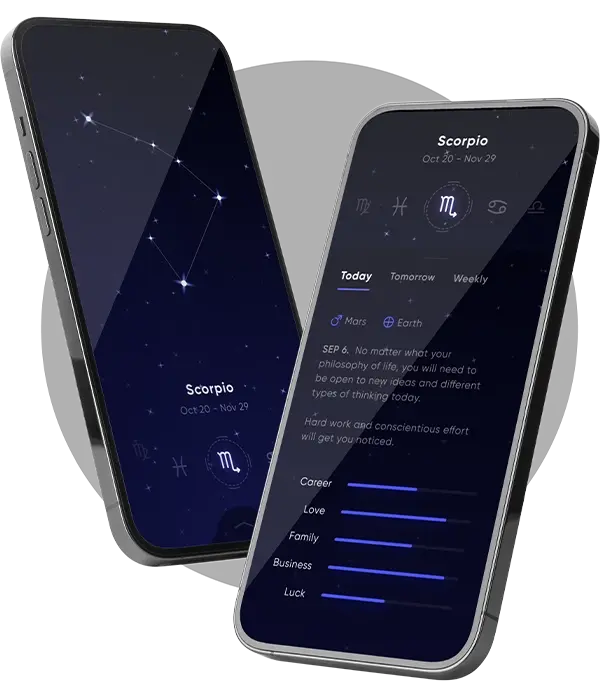 Astrology App Development Astrology App Development Company